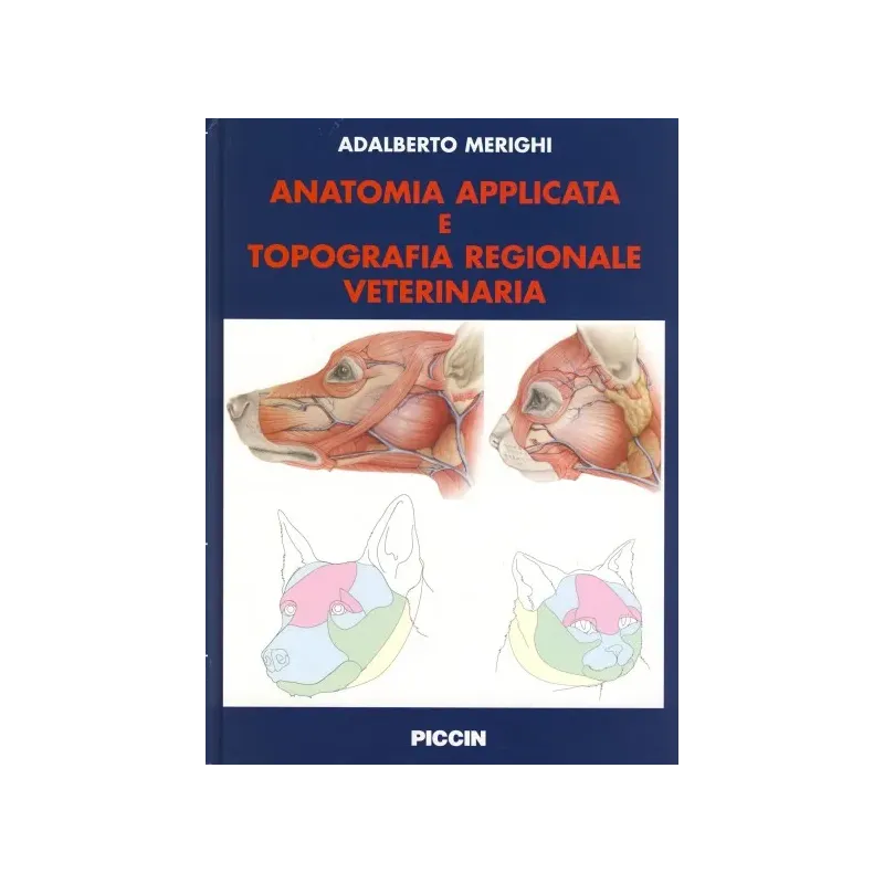 Anatomia Applicata  e topografia regionale veterinaria