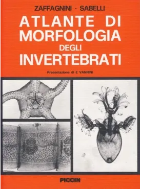 Atlante di Morfologia degli Invertebrati