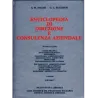 Enciclopedia di Direzione e Consulenza Aziendale 1`