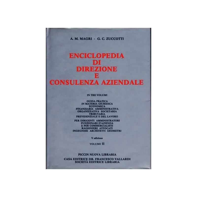 Enciclopedia di Direzione e Consulenza Aziendale 2`