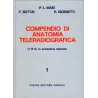 Compendio di Anatomia Teleradiografica - T.R.G. in posizione laterale - Vol. 1