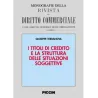 I titoli di credito e la struttura delle situazioni soggettive