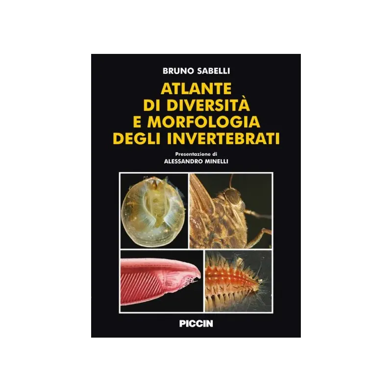 Atlante di diversità e morfologia degli invertebrati