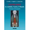 L'altro Kant