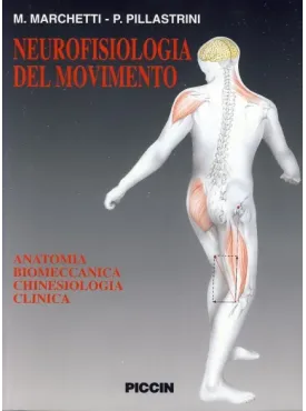 Neurofisiologia del movimento