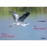 Ali sulla Laguna
