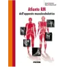 Atlante RM dell'apparato muscoloscheletrico