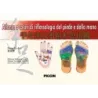 Atlante a colori di riflessologia del piede e della mano