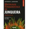 HISTOLOGIE FONDAMENTALE DE JUNQUEIRA