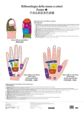 Poster di riflessologia della mano a colori