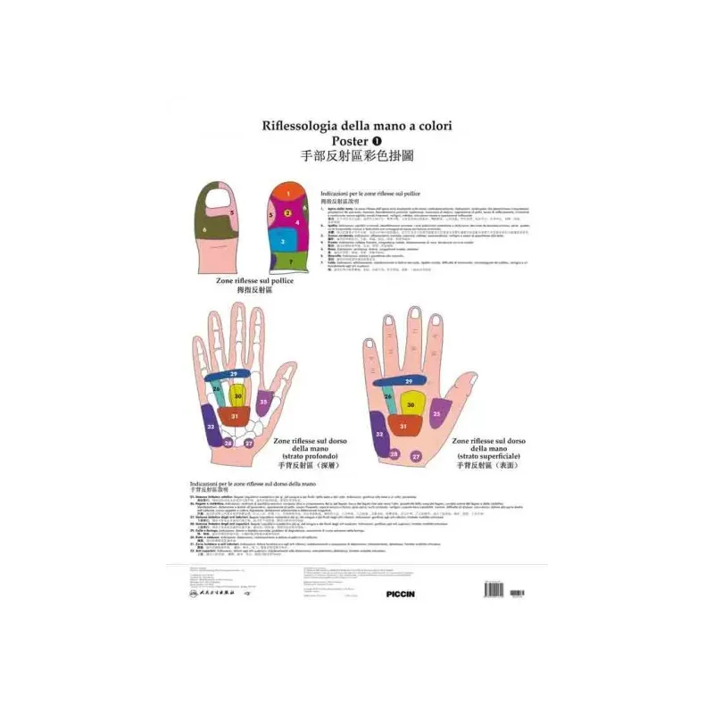 Poster di riflessologia della mano a colori