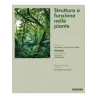 Struttura e funzione nelle piante