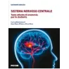 Sistema nervoso centrale