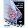 Breast Reconstructive Surgery