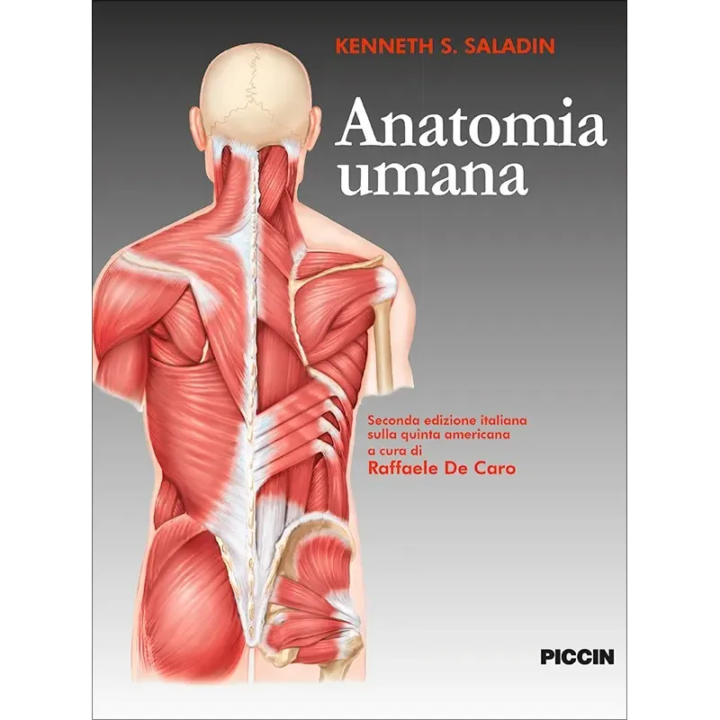 Anatomia Umana