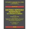 Sistema nervoso  periferico ed organi di senso