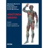 Anatomia Umana