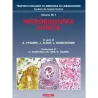 Microbiologia Clinica