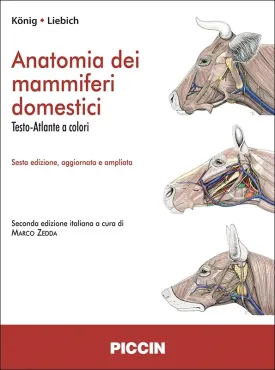 Anatomia dei mammiferi domestici