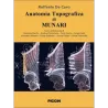 Anatomia topografica di  Munari