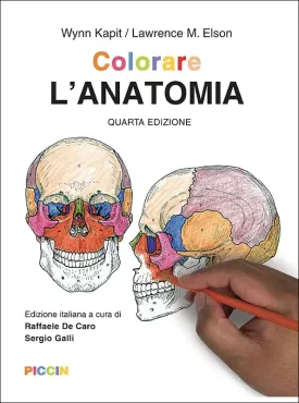 Colorare l'anatomia