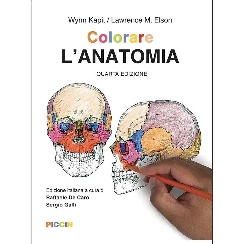 Colorare l'anatomia