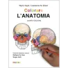 Colorare l'anatomia