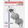 Neuroanatomia di F. Galligioni. Cranio, spazi liquorali, vasi intracranici
