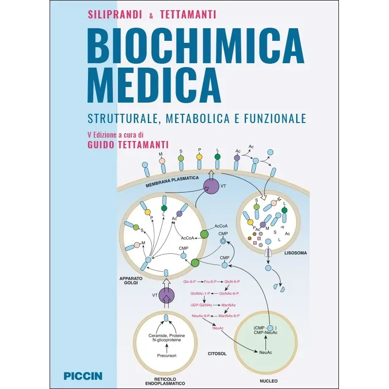 Biochimica Medica - Strutturale, metabolica e funzionale