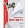 Anatomia del cane