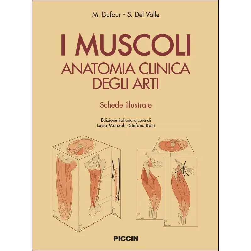 I Muscoli. Anatomia clinica degli arti. Schede illustrative