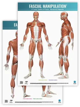Manipolazione Fasciale - 2° Livello - CF - Sequenze Miofasciali