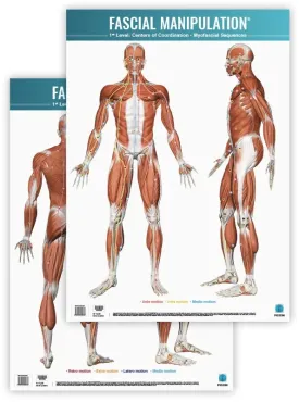 Manipolazione Fasciale - 1° Livello - CC - Sequenze Miofasciali