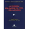 La chirurgia Mini-invasiva del Piede e della caviglia