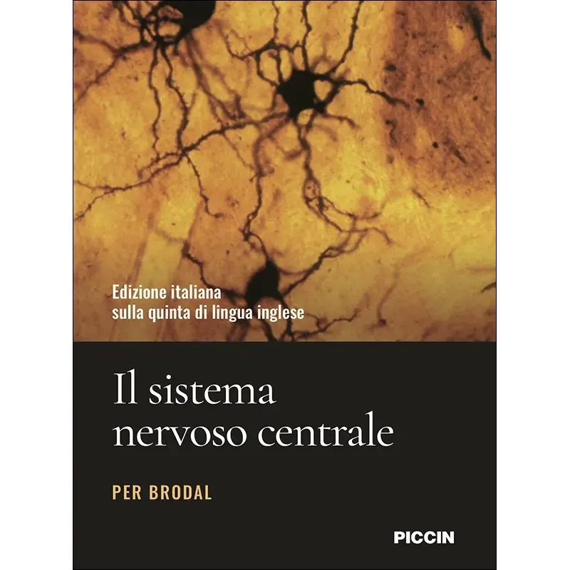 Il sistema nervoso centrale