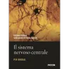 Il sistema nervoso centrale