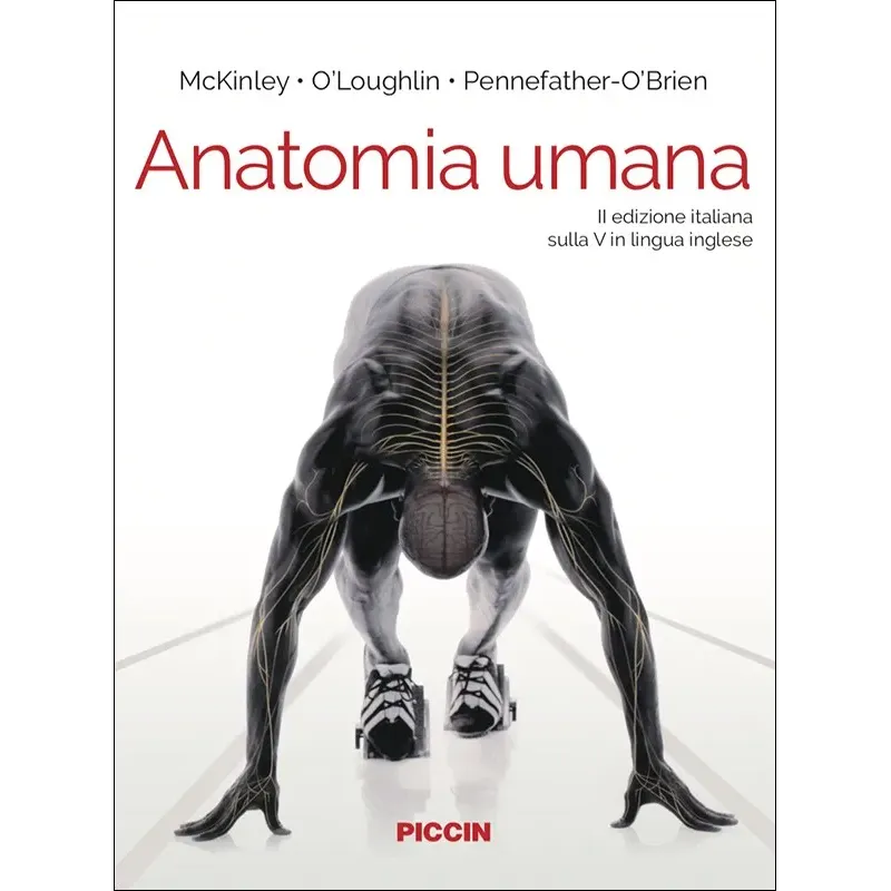 Anatomia umana