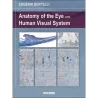 Anatomy of the Eye and Human Visual System