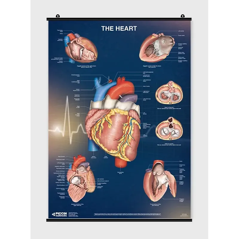 Il Cuore - Poster