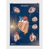 Il Cuore - Poster