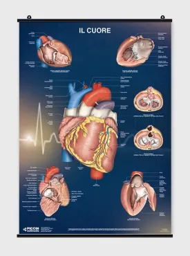 Il Cuore - Poster