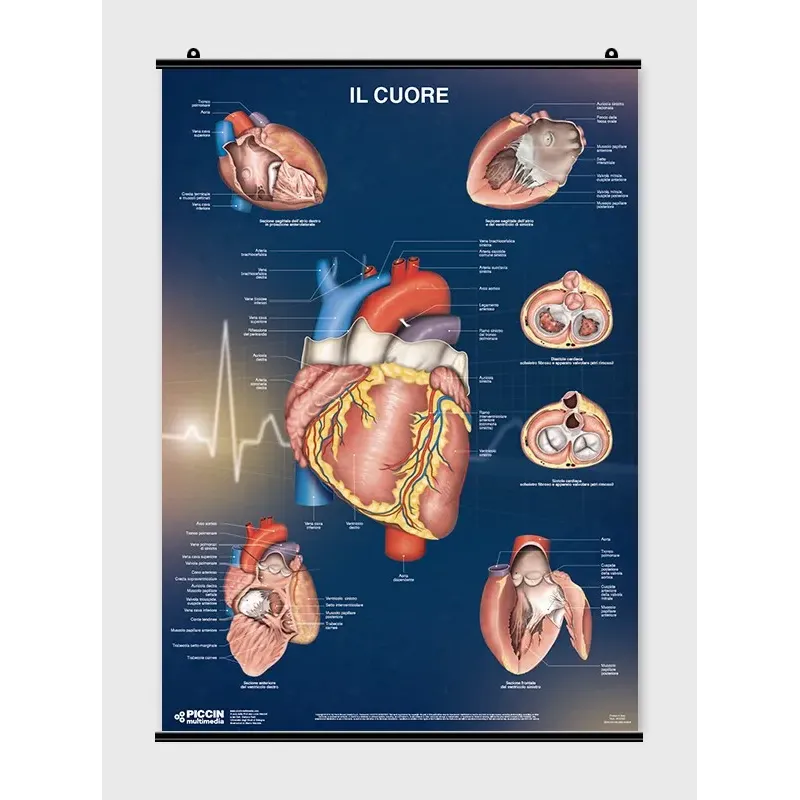 Il Cuore - Poster