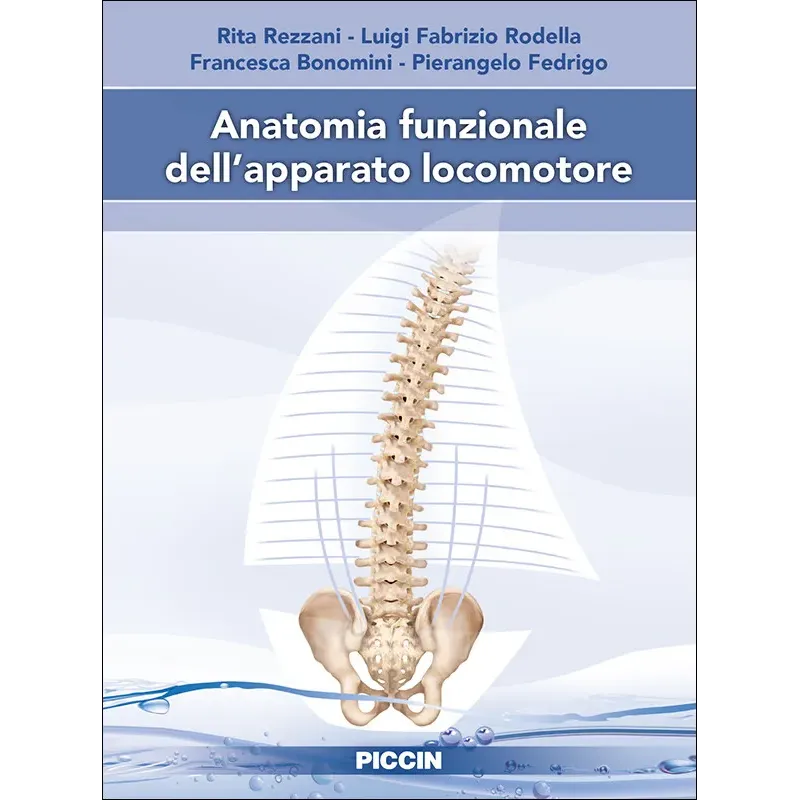 Anatomia funzionale dell’apparato locomotore