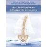 Anatomia funzionale dell’apparato locomotore