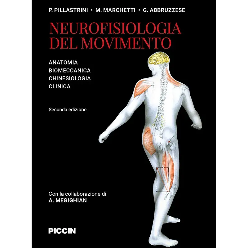 Neurofisiologia del movimento