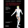Neurofisiologia del movimento