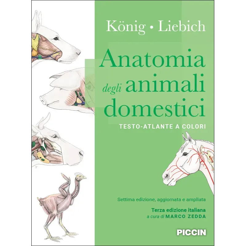 Anatomia degli animali domestici