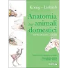 Anatomia degli animali domestici