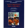 Nuovi Orizzonti per i Ceramici