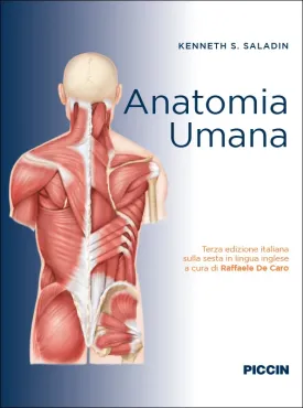 Anatomia umana